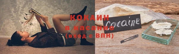 стаф Богданович